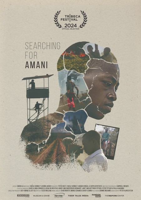 Searching For Amani