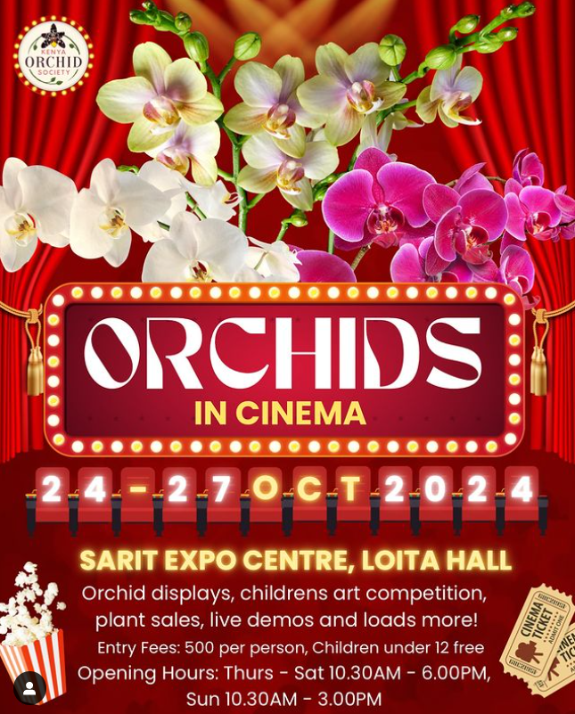 Orchids in Cinema