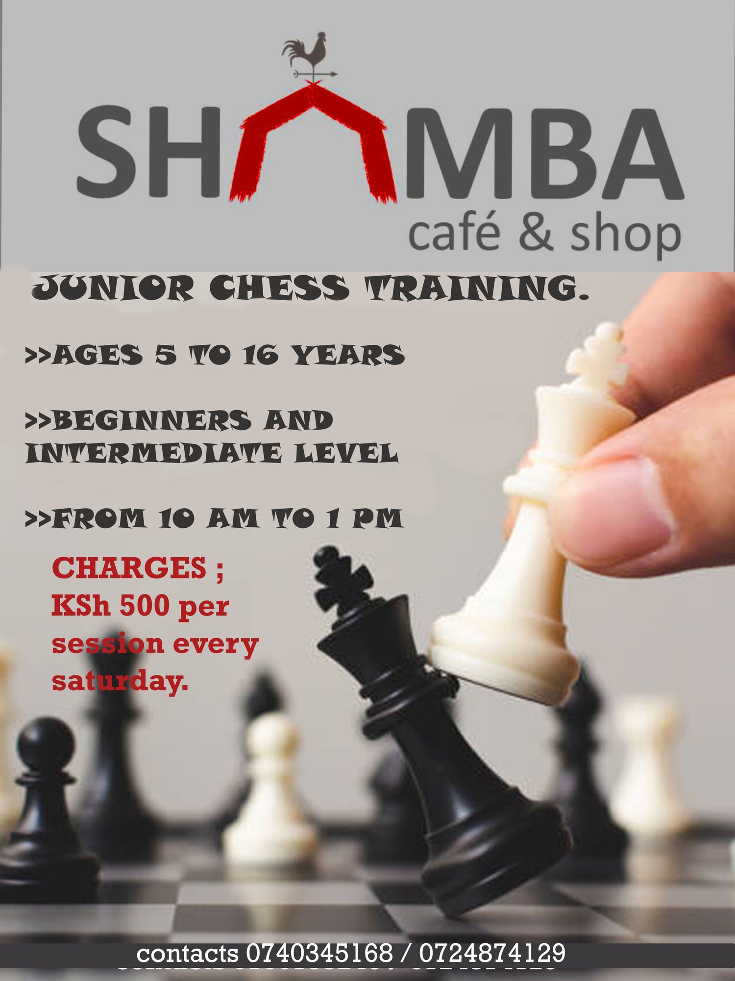 Junior Chess Training at Shamba Cafe