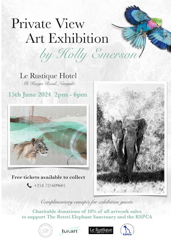 Private View Art Exhibition by Holly Emerson