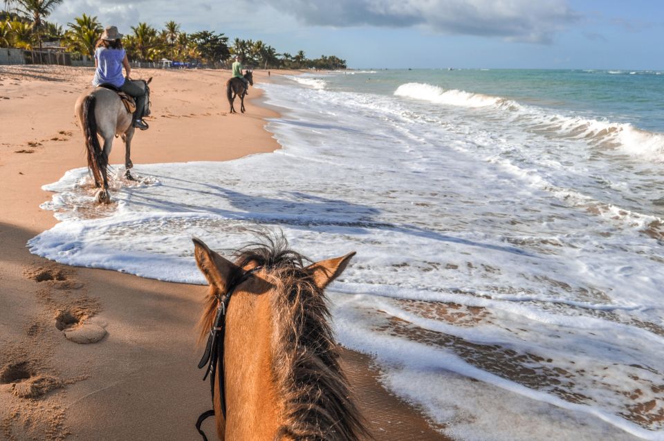 The Bongo Flava Beach Horse Tour