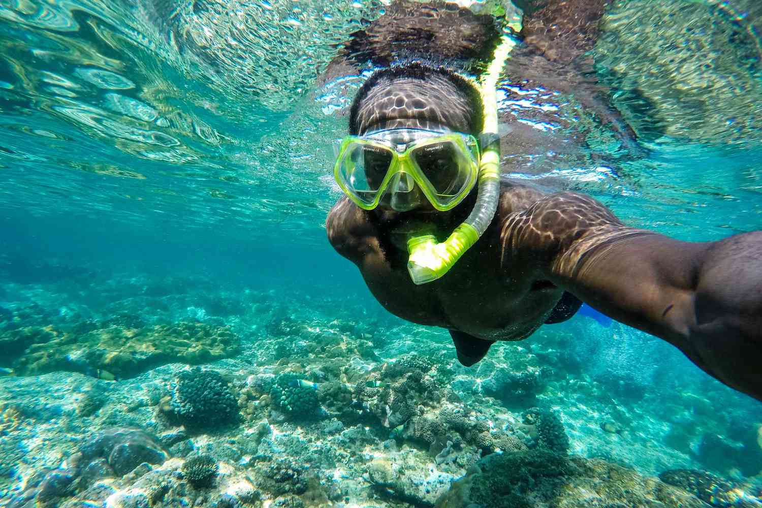 Snorkeling and Diving