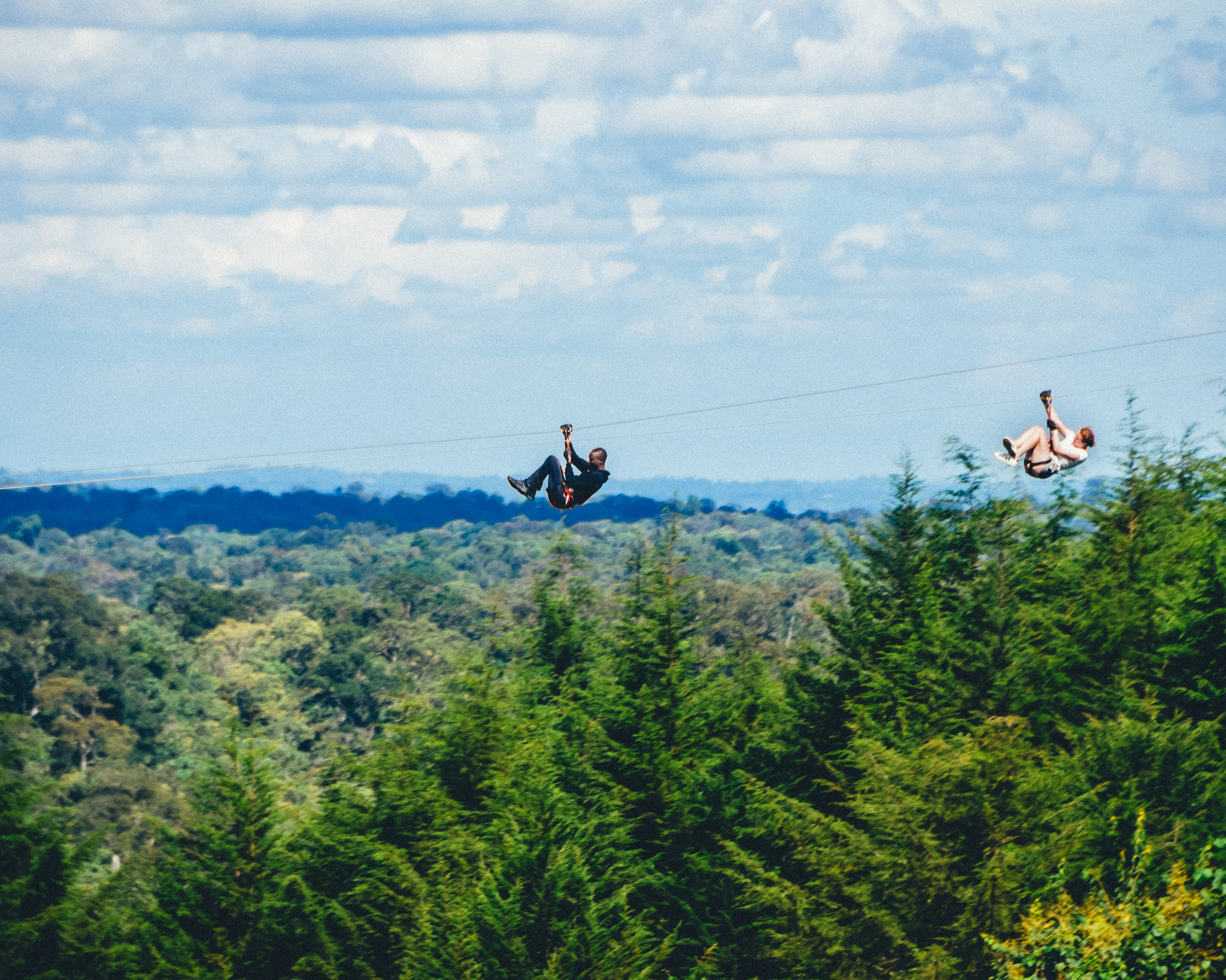 Flying Fox Zip Tour- 2.2kms/6 lines/2hours