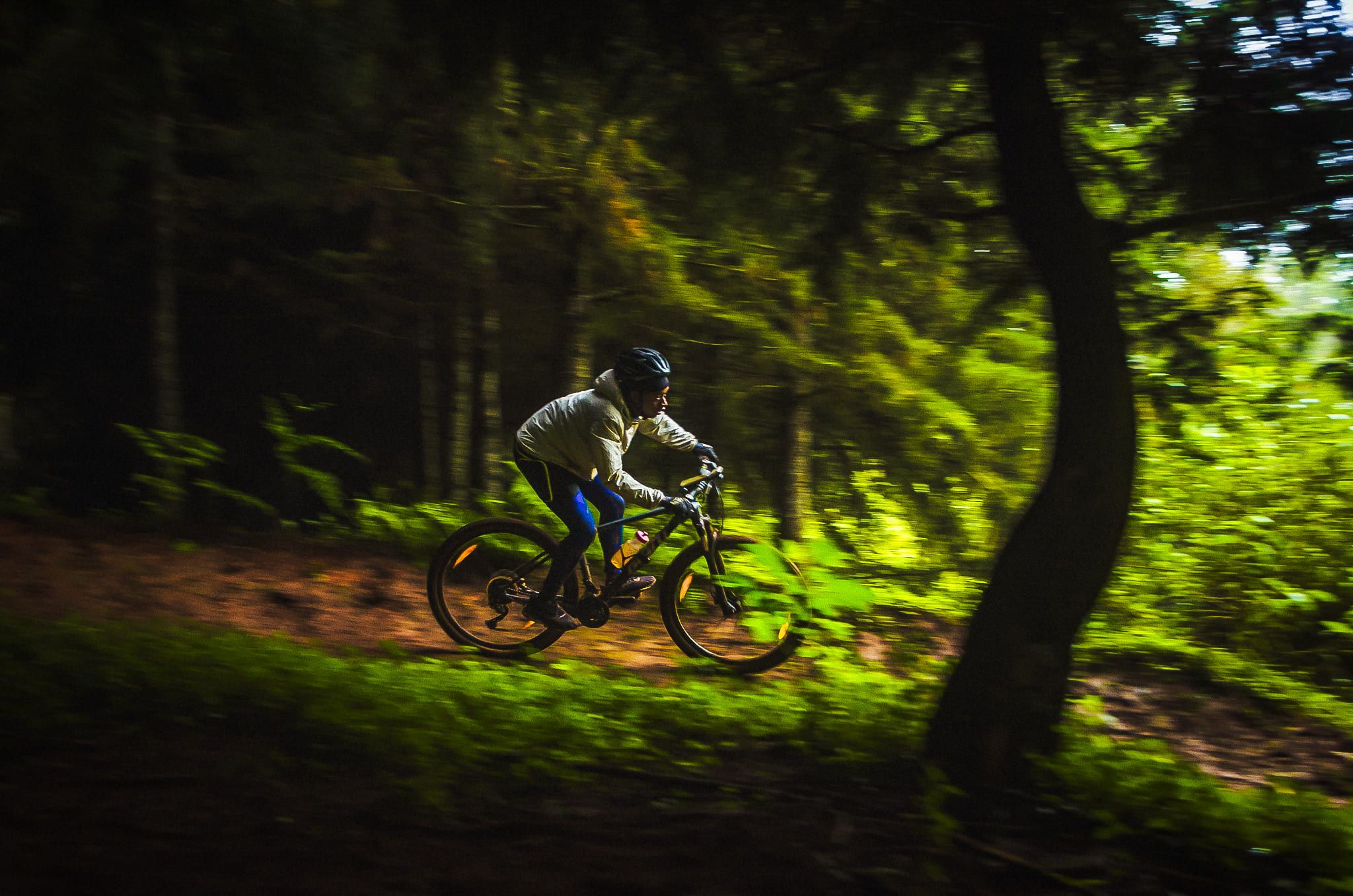 Mountain Biking (with your own bike, full day)