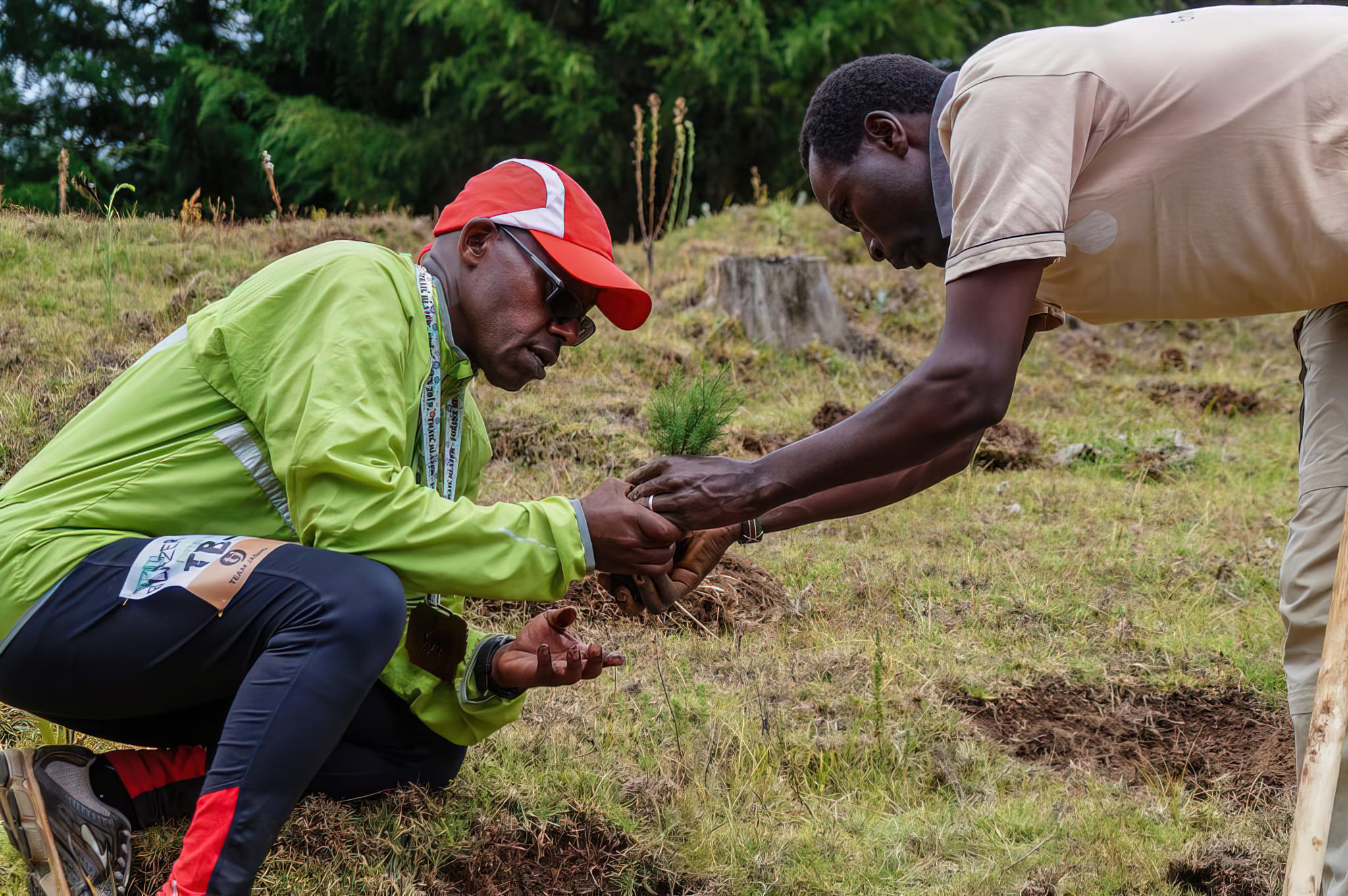 Tree Planting