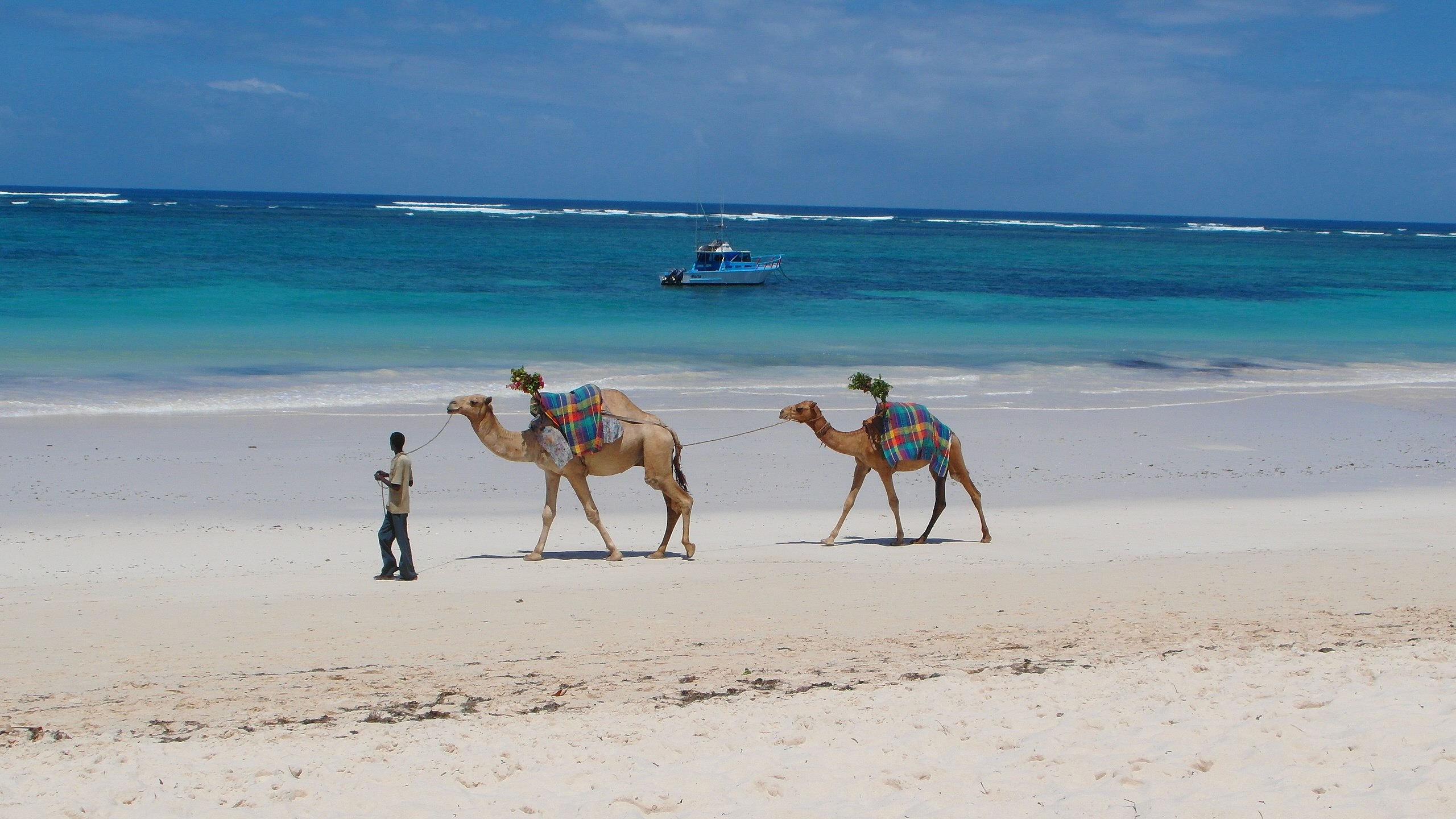 Magical Kenya: Diani Beach ranked amongst top 100 beaches in the world!